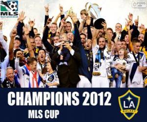 пазл Лос-Анджелес Гэлакси, чемпион MLS Кубок 2012